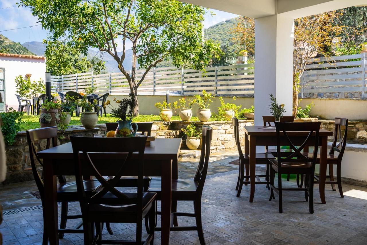 Il Madrigale - Agriturismo B&B Agnone Cilento Esterno foto